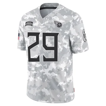 Men's DeMarco Murray Tennessee Titans Nike Limited 2024 Salute to Service Jersey - Arctic Camo