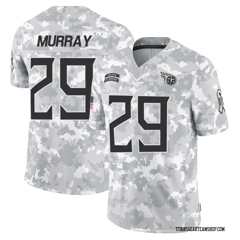 Men's DeMarco Murray Tennessee Titans Nike Limited 2024 Salute to Service Jersey - Arctic Camo