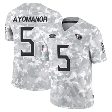 Men's Elic Ayomanor Tennessee Titans Nike Limited 2024 Salute to Service Jersey - Arctic Camo