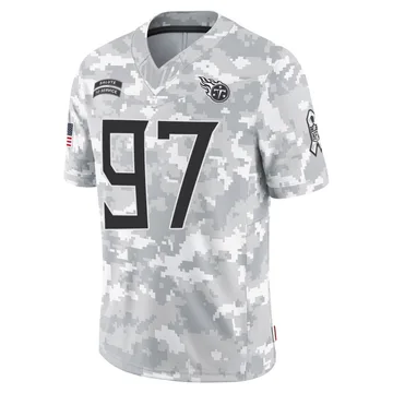 Men's James Lynch Tennessee Titans Nike Limited 2024 Salute to Service Jersey - Arctic Camo