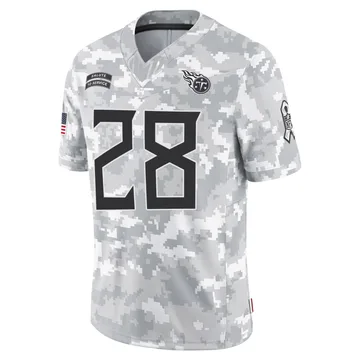 Men's Jermari Harris Tennessee Titans Nike Limited 2024 Salute to Service Jersey - Arctic Camo