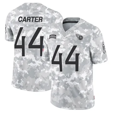 Men's Tory Carter Tennessee Titans Nike Limited 2024 Salute to Service Jersey - Arctic Camo