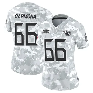 Women's Fernando Carmona Tennessee Titans Nike Limited 2024 Salute to Service Jersey - Arctic Camo