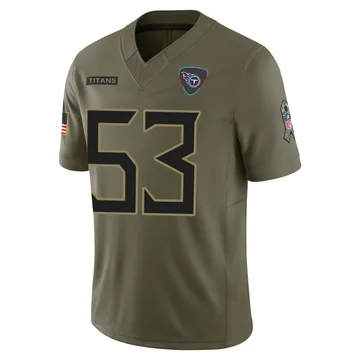 Youth Anthony Hill Jr. Tennessee Titans Nike Limited 2025 Salute to Service Jersey - Olive