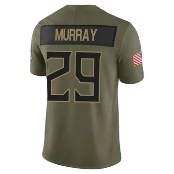 Youth DeMarco Murray Tennessee Titans Nike Limited 2025 Salute to Service Jersey - Olive