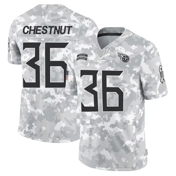 Youth Julius Chestnut Tennessee Titans Nike Limited 2024 Salute to Service Jersey - Arctic Camo