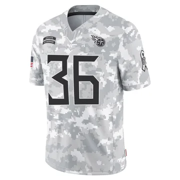 Youth Julius Chestnut Tennessee Titans Nike Limited 2024 Salute to Service Jersey - Arctic Camo