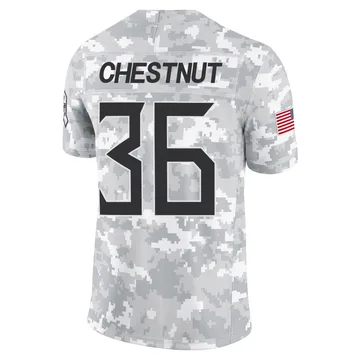 Youth Julius Chestnut Tennessee Titans Nike Limited 2024 Salute to Service Jersey - Arctic Camo