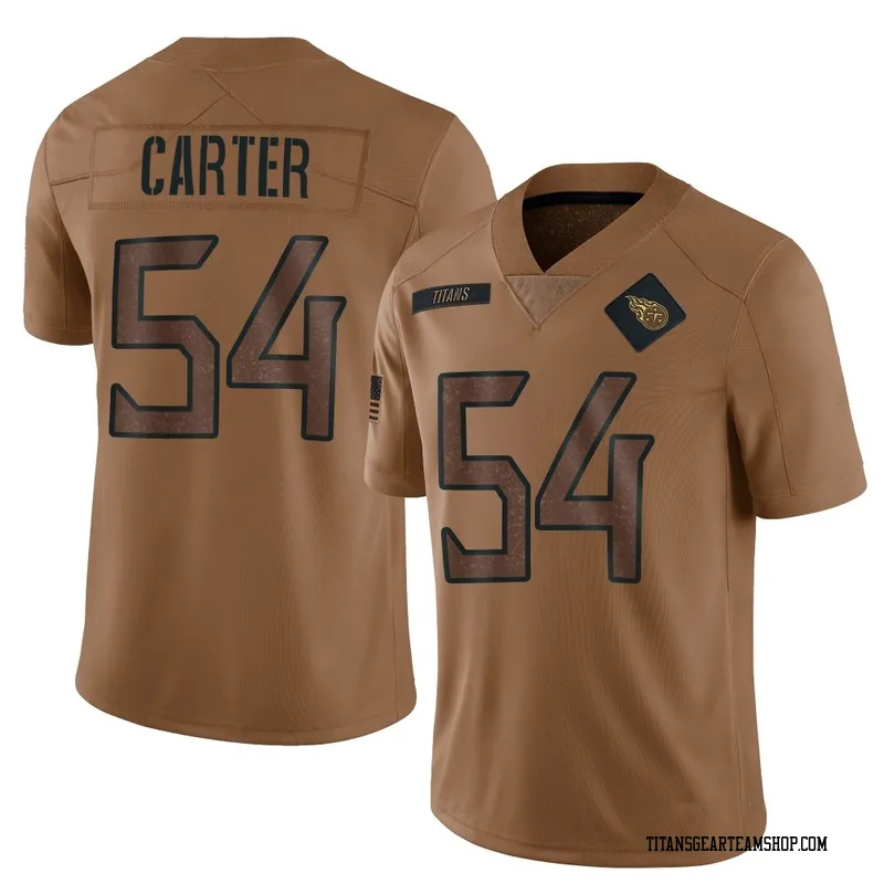 Youth Lorenzo Carter Tennessee Titans Nike Limited 2023 Salute To Service Jersey - Brown