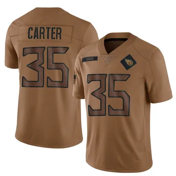 Youth Michael Carter Tennessee Titans Nike Limited 2023 Salute To Service Jersey - Brown